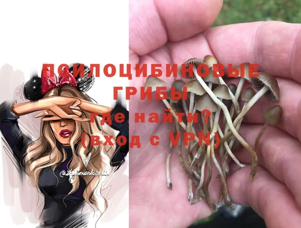 прущие крисы Аркадак