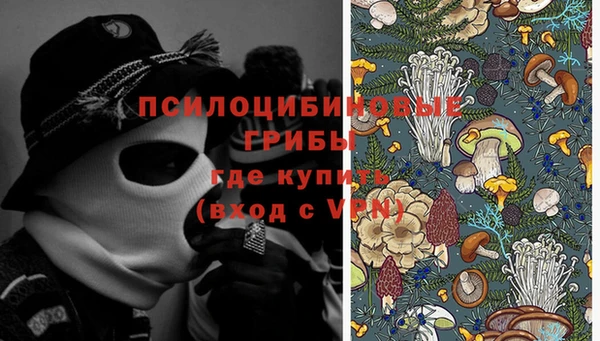 кокс Арсеньев